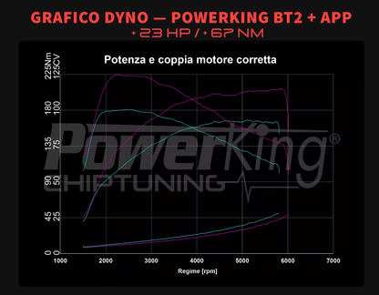 MODULO AGGIUNTIVO PER MOTORI BENZINA - AUDI A1 GB (2018 - 2024)