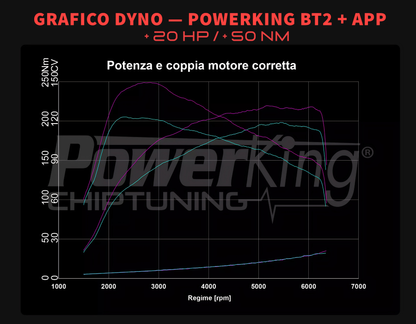 MODULO AGGIUNTIVO PER MOTORI BENZINA - AUDI A1 GB (2018 - 2024)