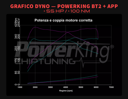 ZUSATZSTEUERGERÄT FÜR BENZINMOTOREN - AUDI A3 8Y (2020 - 2024)
