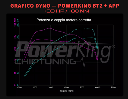 MODULO AGGIUNTIVO PER MOTORI BENZINA - AUDI A1 GB (2018 - 2024)