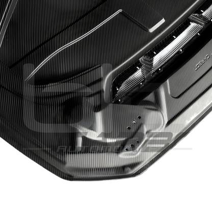 COFANO IN FIBRA DI CARBONIO - BMW F20/F21 (2010 - 2019)